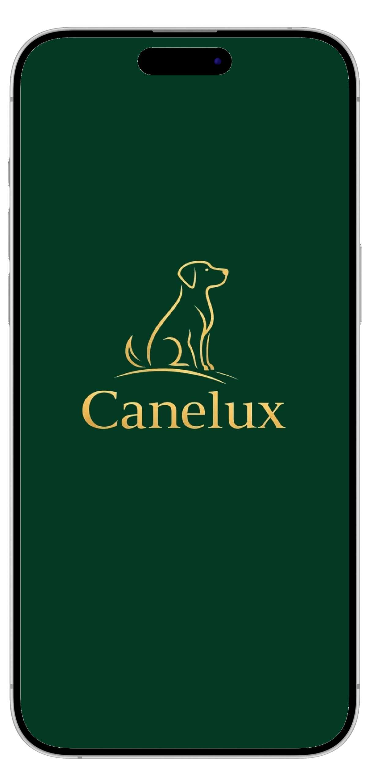 iOS App